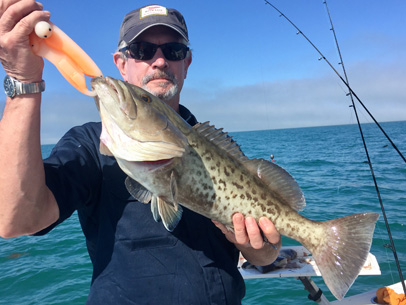 Angling Adventures Gag Grouper